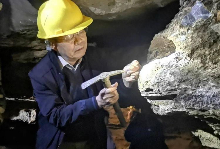 入选“2021年度中国古生物学十大进展”！广西文物保护与考古研究所参与的这项研成果了不起……