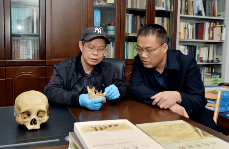 入选“2021年度中国古生物学十大进展”！广西文物保护与考古研究所参与的这项研成果了不起……