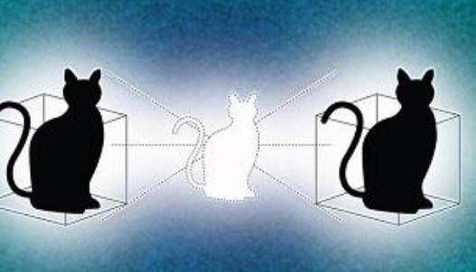 薛定谔的猫的猜想：当我们进入平行世界，该怎么确定自己的状态？