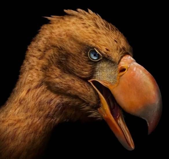 藝術家3D復原最寫實史前動物：古生物的長相夠霸氣