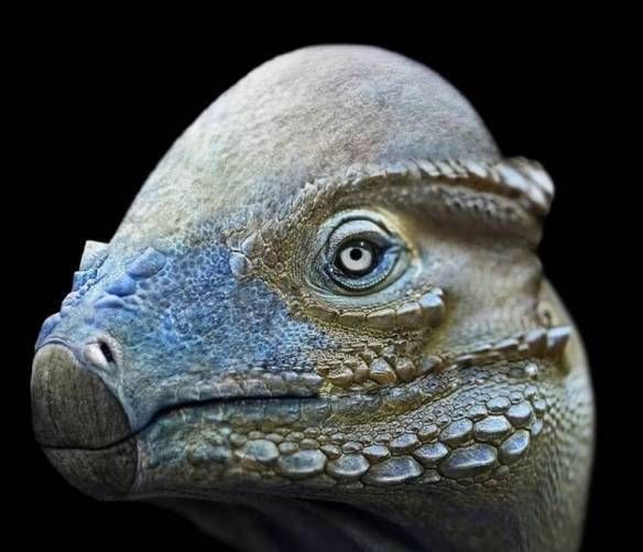 艺术家3D复原最写实史前动物：古生物的长相够霸气