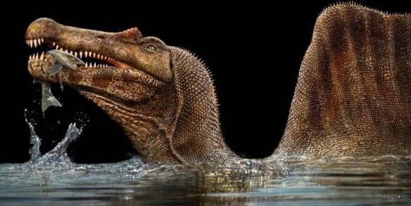 艺术家3D复原最写实史前动物：古生物的长相够霸气
