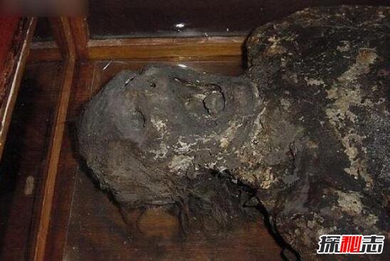 泰国恐怖博物馆，收藏畸形尸体的变态博物馆(信不信由你)