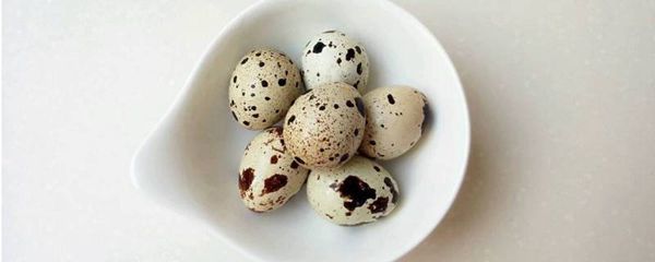生的鹌鹑蛋能放多久