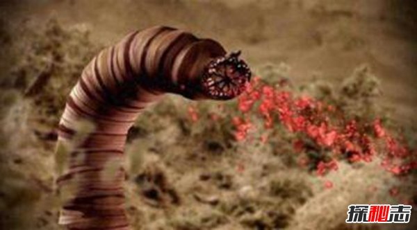 蒙古死亡蠕虫是变异的,能够喷射毒液和电流