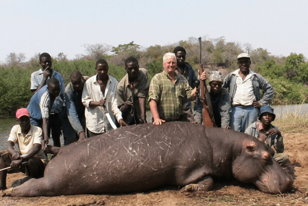 世界上最惨的生物：特斯拉大海牛(被发现到灭绝仅27年)
