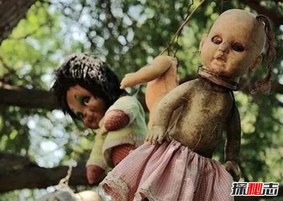 墨西哥娃娃岛太诡异了，鬼娃娃被肢解吊在树上(毛骨悚然)