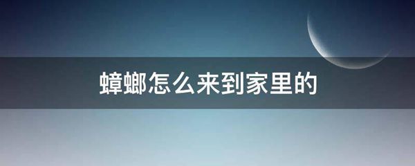 蟑螂怎么来到家里的