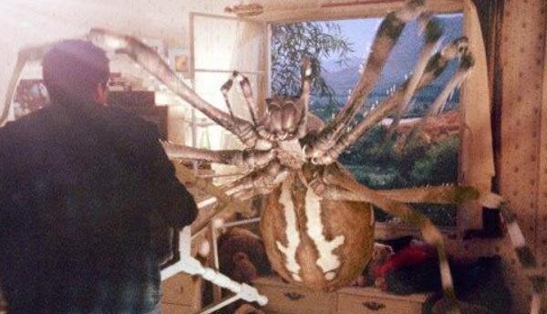 世界上最恐怖的真实事件：变异蜘蛛吃人，女孩梦游被吊死