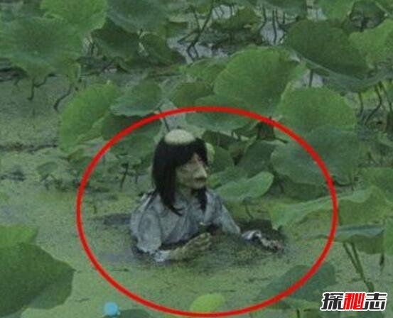 广东水库抓到一只女鬼，其实只是一只脱发的马来熊