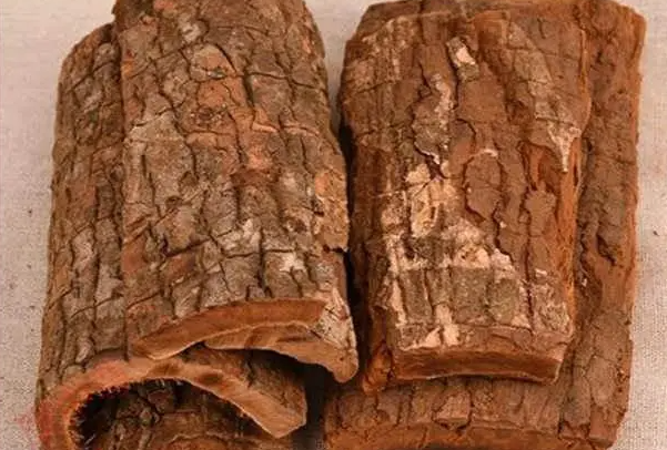 卡宾达树皮的功效与作用：缓解疲劳(多产于热带地区)