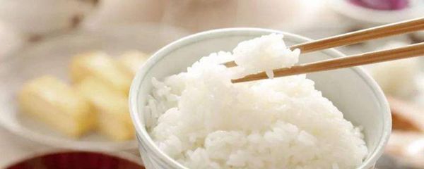白米饭放冰箱可以放多久