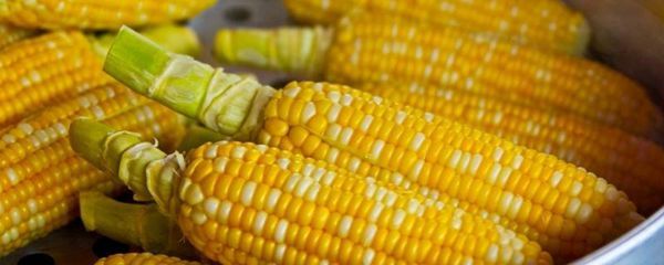 煮熟的玉米冷冻可以保存多久