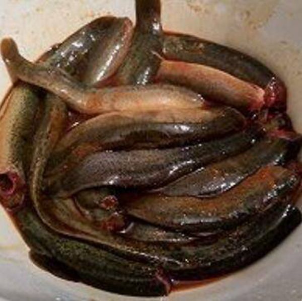 刺鳅鱼怎么做好吃