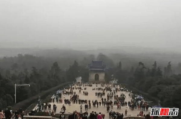 中国灵异事件大揭秘:上海大树喷火/狗狗开口叫人