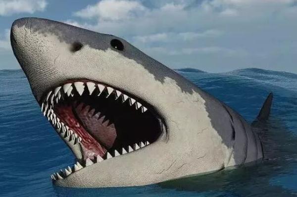 史前咬合力第一的动物：巨齿鲨(后端咬合力可达36吨)