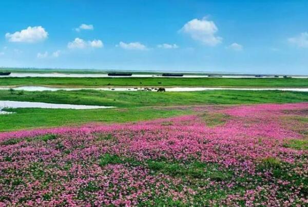 中國最大的淡水湖:鄱陽湖，約4070平方千米