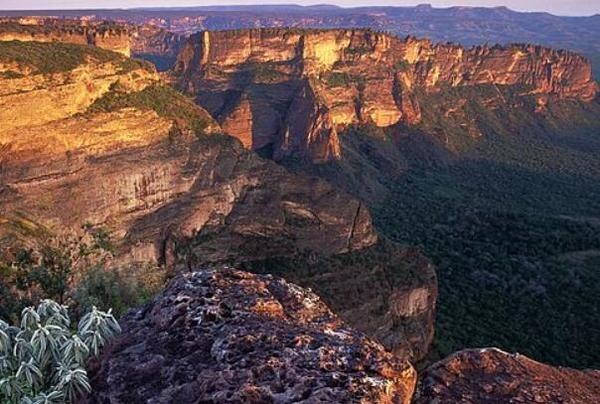 世界上最大的高原：巴西高原，约500万平方千米