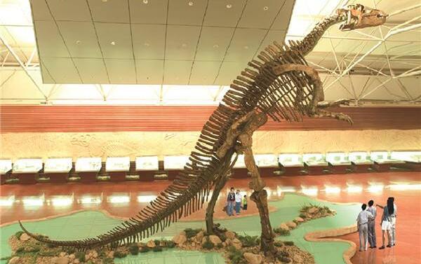 诸城龙：世界最大的鸭嘴龙属种恐龙（16.6米/中国山东）