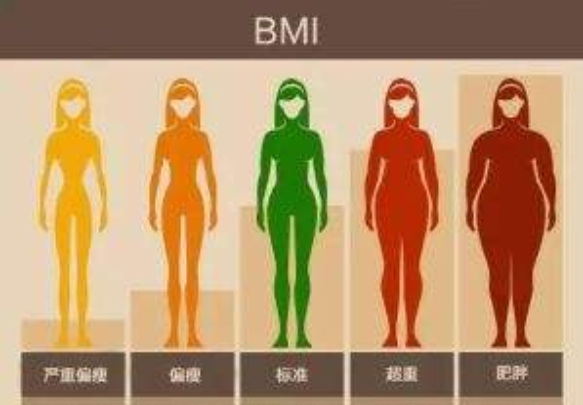 BMI指数是啥：身体质量指数(国际衡量胖瘦的标准)