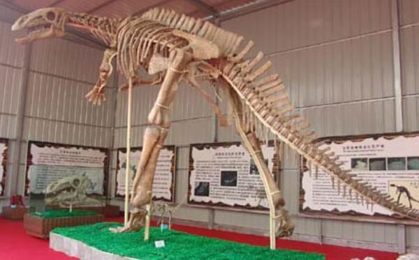 巨齿龙：法国大型食肉恐龙（长8.5米/距今1.66亿年前）