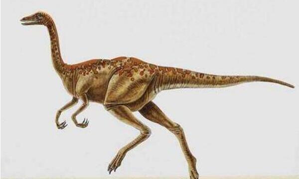沙漠龙：亚洲大型食草恐龙（长7米/1.12亿年-1亿年前）