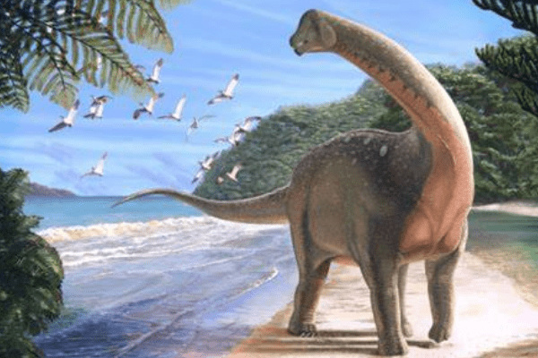 南巨龙:南美超巨型恐龙(超过30米长/尾巴灵活)