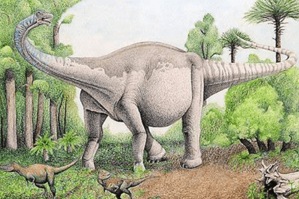 南巨龍:南美超巨型恐龍(超過30米長/尾巴靈活)