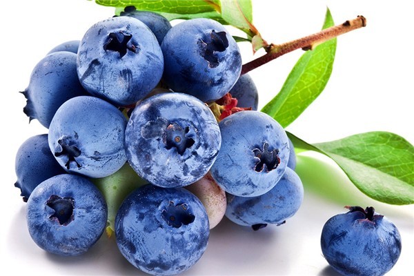 蓝莓怎么吃：想怎么吃就怎么吃（需要清洗干净）