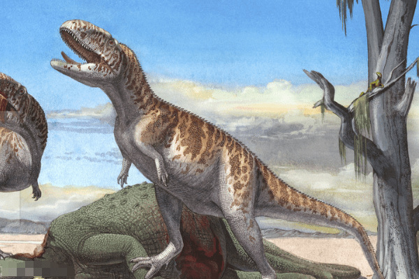 胜王龙:印度大型恐龙(长6.5米/眼睛上长角冠)