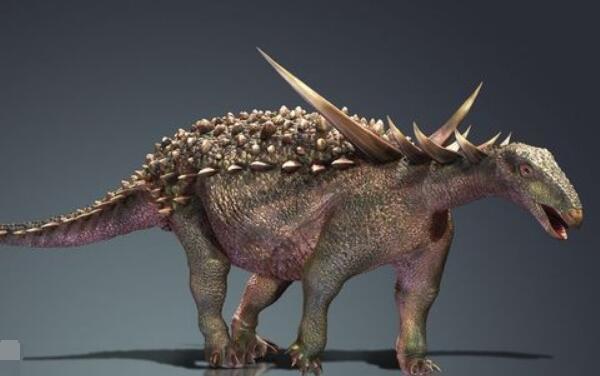 楯甲龙：北美洲大型食草恐龙（长7.6米/不具备攻击性）