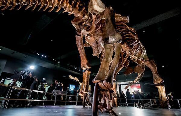 青秀龙：中国巨型食草恐龙（长15米/距今6500万年前）