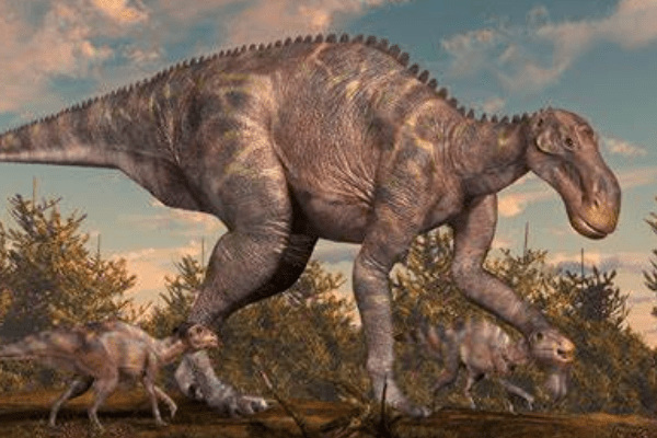 慈母龍:北美大型植食恐龍(喜歡群居/一群包含13萬只)
