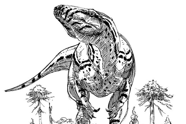 中型食肉恐龍:迪布勒伊洛龍 活于1.67億年前(僅發現顱骨)