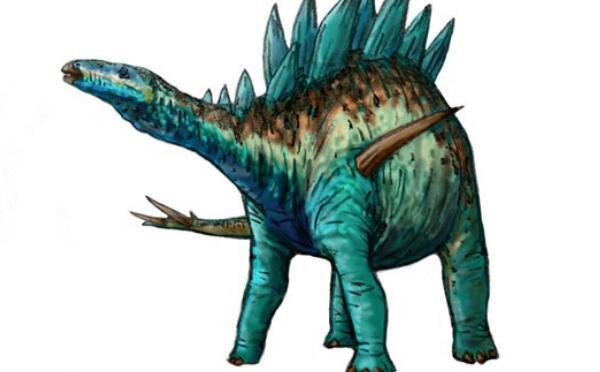 似花君龍：非洲中型食草恐龍（長5米/距今1.45億年前）