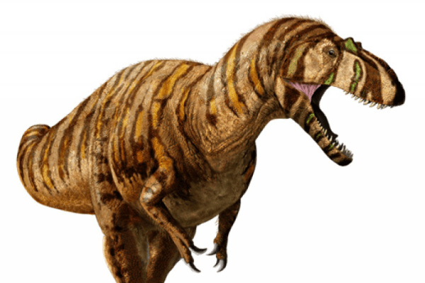 中棘龍:歐洲大型肉食恐龍(長8米/有25厘米長小棘突)