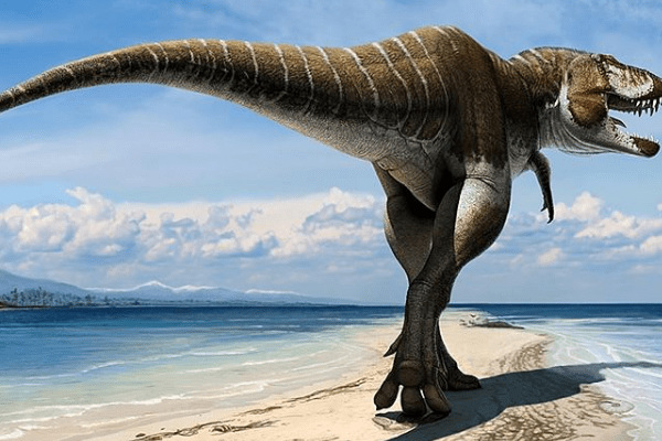 西雅茨龍:目前第七大肉食恐龍(長12.8米/比霸王龍還強)