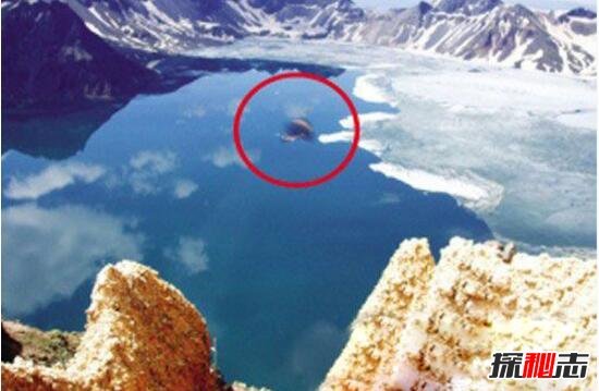 長白山天池怪獸真的存在嗎，與美國夏普朗湖水怪極其相似（圖片）