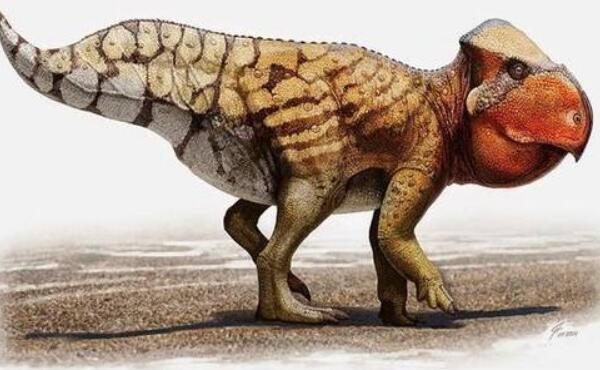 鹦鹉嘴龙：亚洲小型食草恐龙（长2米/距今9750万年前）