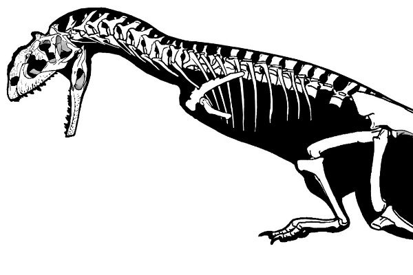 瑪君龍:非洲大型獸腳恐龍(喜歡同類相食/頭頂長角飾)
