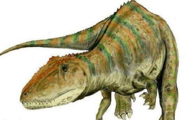 魁紂龍：阿根廷頂級肉食恐龍（長13米/距今1.18億年前）