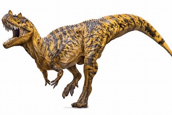 嵴鼻龙:大型肉食恐龙(长5-6米/鼻骨长有细小冠饰)