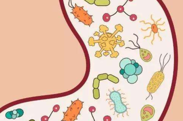 什么是幽門螺旋桿菌：能在胃中生存的細菌(引發胃炎等)