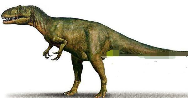 開江龍：四川大型食肉恐龍（長9米/距今1.5億年前）