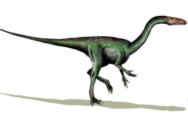 斯基龙：北美洲小型食肉恐龙（长1米/生活在侏罗纪早期）