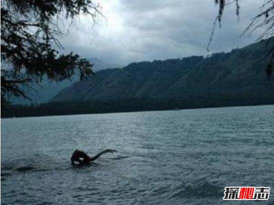 广东水怪之谜，湛江湖光岩惊现数十条巨型生物(疑似巨龙)