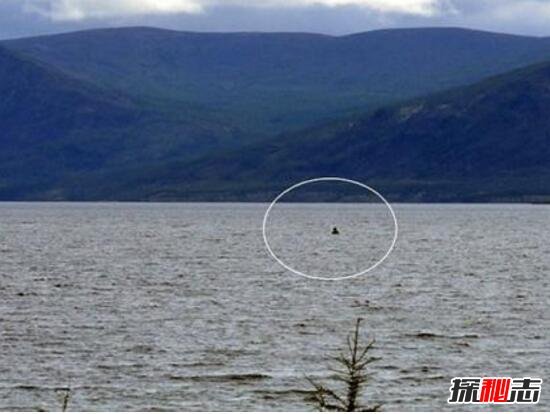 广东水怪之谜，湛江湖光岩惊现数十条巨型生物(疑似巨龙)