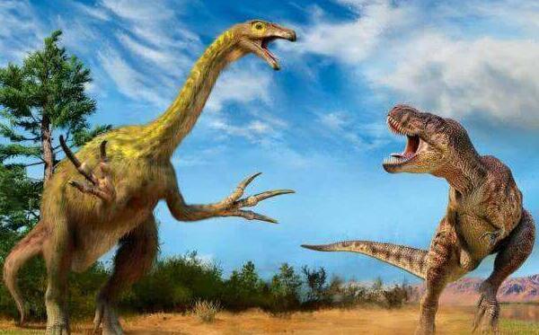 慢龙：亚洲大型食草恐龙（长9米/距今8850万年前）