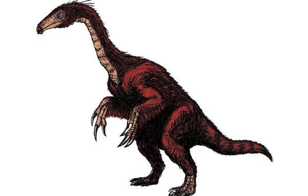 慢龙：亚洲大型食草恐龙（长9米/距今8850万年前）
