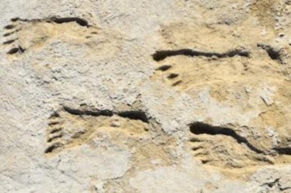 北美最古老人类脚印：23000年前(儿童和青少年脚印)